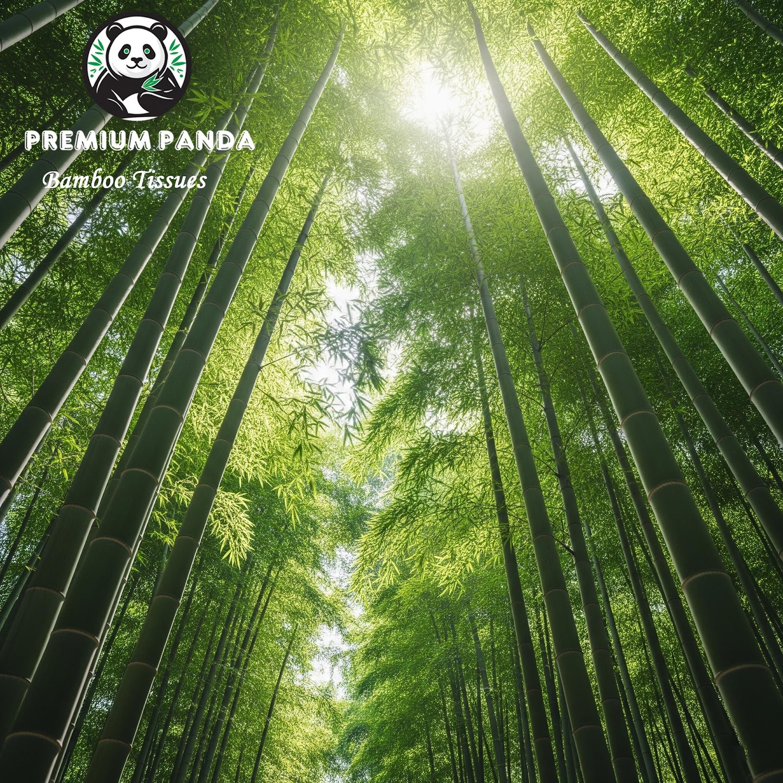 Ensuring timely delivery and maximum efficiency